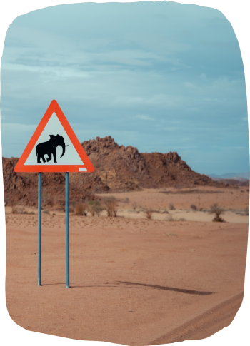 namibia-authentic-elephant-sign