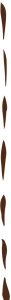 stripe-straight-down-3.png